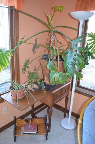 Property photo 15 - East Allen County Personal Property Auction